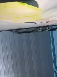 Celesxk की स्ट्रीम इमेज
