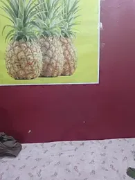 perfect-couple25 की स्ट्रीम इमेज